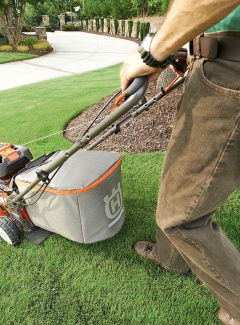 garden, garden shop, grass, home garden, lawn, lawn mower, lawnmower, nature, green home, green shopping, green grass, green garden, green shop